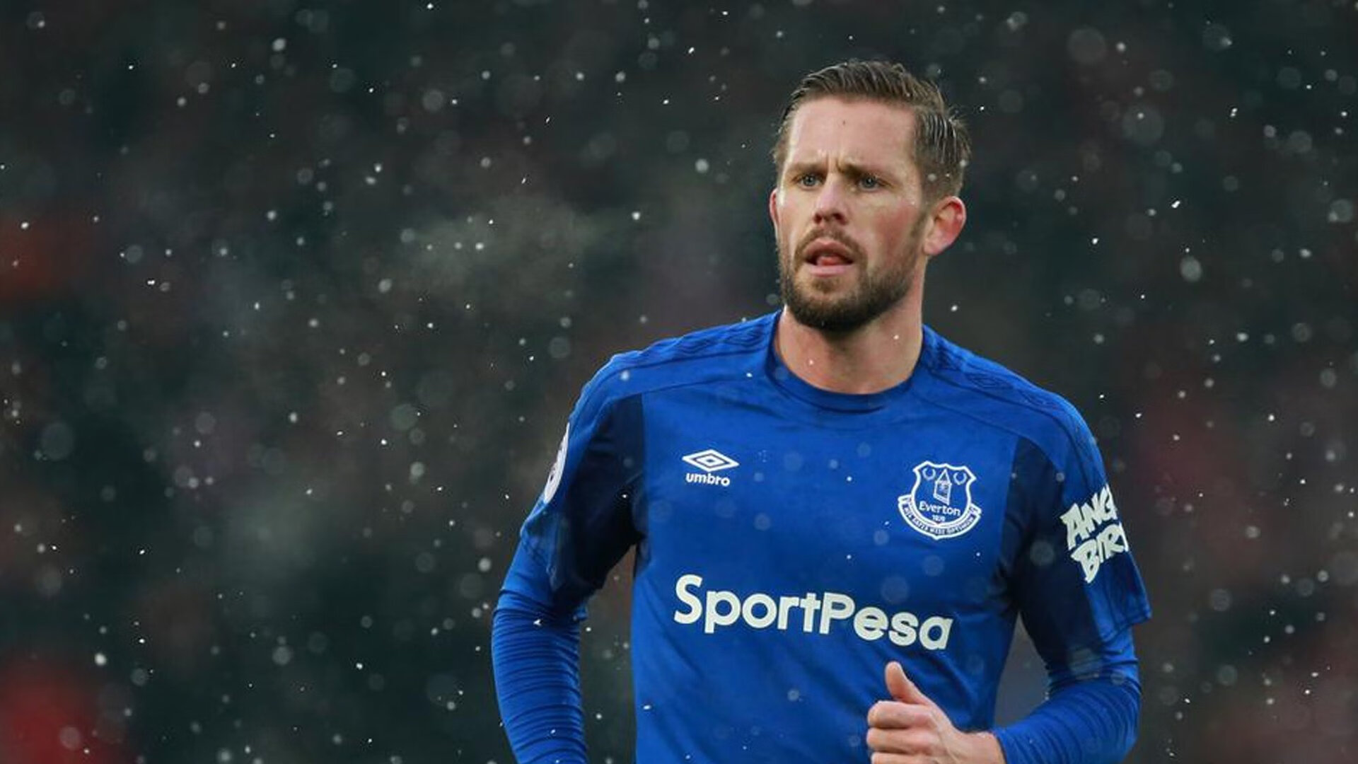 体育明星的传奇人生，体育明星资料大全